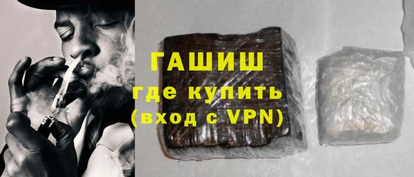 гидра Богданович