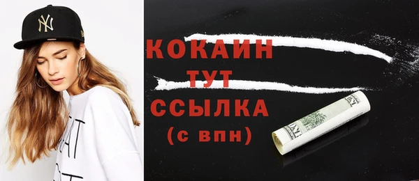 молекула духа Богородск
