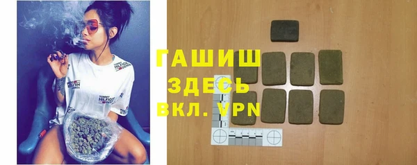 гидра Богданович