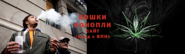 гидра Богданович
