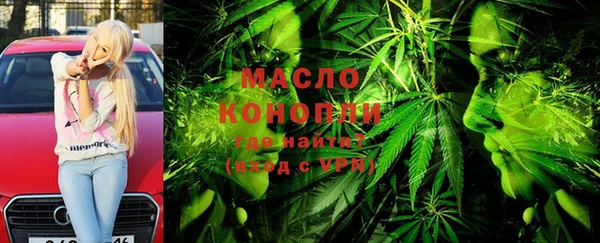 гидра Богданович