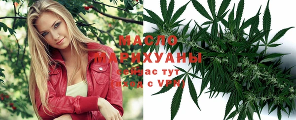 молекула духа Богородск