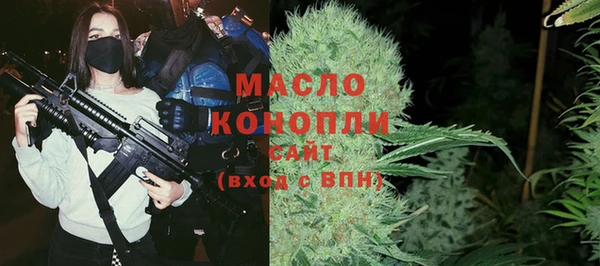 гидра Богданович