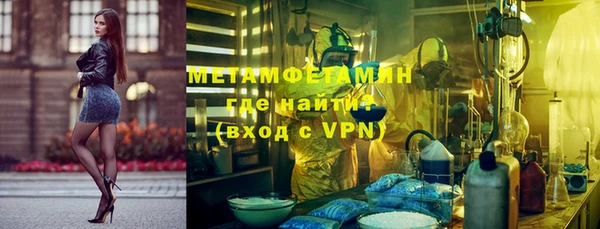гидра Богданович