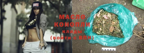гидра Богданович