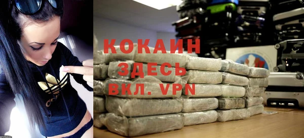 гидра Богданович